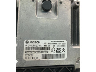 Блок управления двигателем Блок управления 9805947380, 0281019817   Peugeot Partner