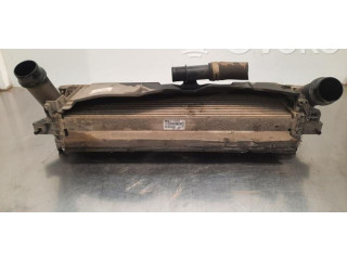 Интеркулер  144614JA0B   Nissan NP300 