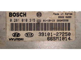 Řídící jednotka 0281010315, 66SMI014   Hyundai Santa Fe 2001