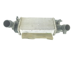 Интеркулер  2163154, H1BG6K775AC   Ford Ecosport 1.0