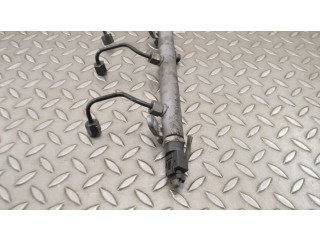 Vstřikovací lišta A6420700295, A6110780449   Mercedes-Benz S W221     