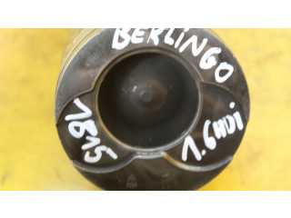 Píst    Peugeot 307     