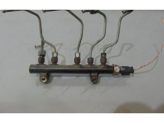 Vstřikovací lišta 9685297580   Citroen C3     