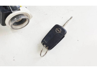 Řídící jednotka 22743215, 3215112400308   Opel Antara 2011