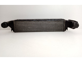 Интеркулер  1751-2246795, 246   BMW 3 E46 