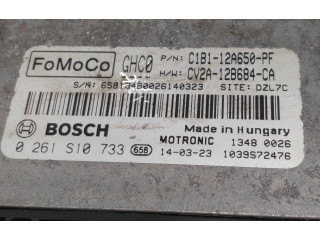 Píst CV2A12B684CA, C1B112A650PF   Ford Fiesta     