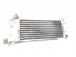 Интеркулер     Rover 45 