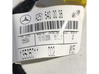 Подушка безопасности пассажира A2515400036, 1055004   Mercedes-Benz ML W164