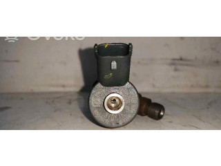 Форсунка 0445110076, BOSCH    Citroen C5   2