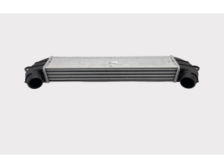 Интеркулер  517189530, 51718953   Fiat Doblo 