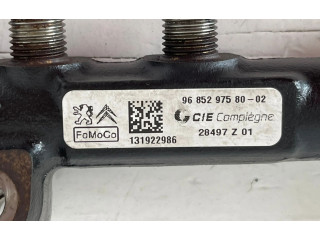 Vstřikovací lišta 968529758002, 8H01   Citroen C3     