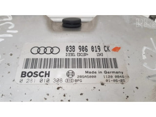 Блок управления двигателем Блок управления 038906019CK, 0281010308   Audi A3 S3 8L