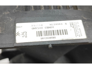 Volant Peugeot 2008 I 2016 9812028580, FS2056  