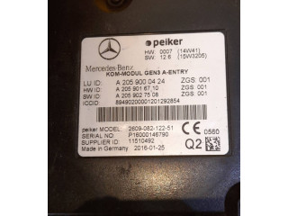 Блок управления заднего тормоза (EMF) A2059000424, A2059016710   Mercedes-Benz B W246 W242