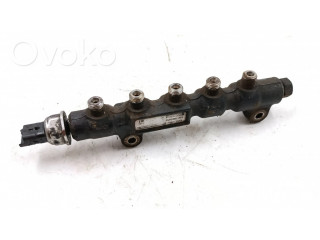 Топливная рампа 9654592680, 061804764220618605   Citroen C5 2.2 