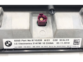 Дисплей    8715339   BMW 5 G30 G31