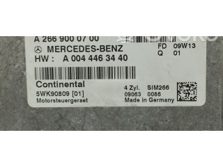 Řídící jednotka A2669000700, A2669000700   Mercedes-Benz B W245 2009