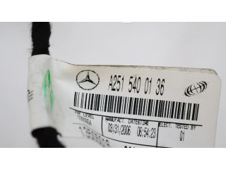 Подушка безопасности пассажира A2518600805, A2515400136   Mercedes-Benz R W251