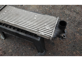 Píst 7700312903, 91166035   Nissan Primastar     