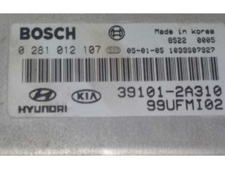 Řídící jednotka 391012A310, 0281012107   Hyundai Matrix 2005