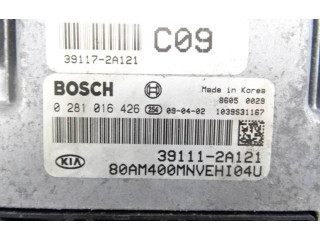 Řídící jednotka 391172A121, 391112A121   KIA Soul 2009