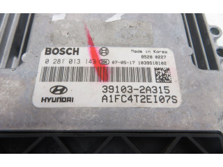Řídící jednotka 391032A315, 0281013143   Hyundai Matrix 2008