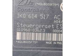 Jednotka ABS 1K0614517AC, 10020602224   Audi A3 S3 8P 2006