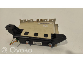 Подушка безопасности двери 96517058EV, 6051454   Citroen C6