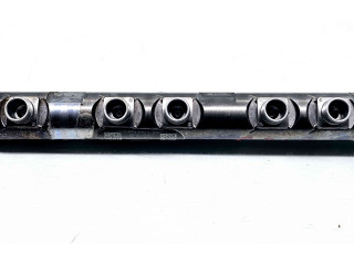 Vstřikovací lišta 780912705   BMW X1 E84     