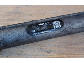 Топливная рампа 0281002507, 0445214085   Hyundai Sonata  