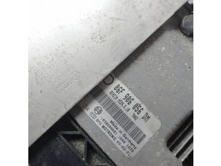 Блок управления двигателя 06F906056DM   Audi A3 S3 8P