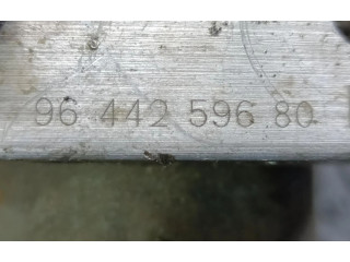 Jednotka ABS 0265216543   Peugeot 406 