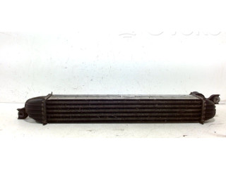 Интеркулер  1751850690401   Mini Cooper Countryman R60 