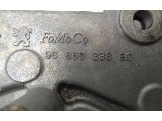 Čerpadlo oleje 9686038880, 1001G8   Peugeot 308   