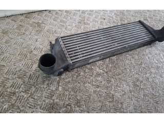 Vstřikovač 2247966, 51224796602   BMW X5 E53     