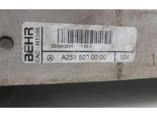 Интеркулер  A2515000000   Mercedes-Benz R W251 
