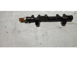 Vstřikovací lišta 9804776780, 9676643880   Peugeot 308     