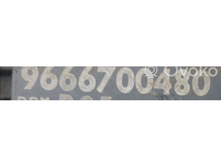 Pojistková skříňka Řídící jednotka BSM 9666700480, 9666700480   Peugeot 308 2009