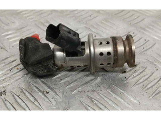 Vstřikovač 9802763880   Citroen Berlingo    BH02 