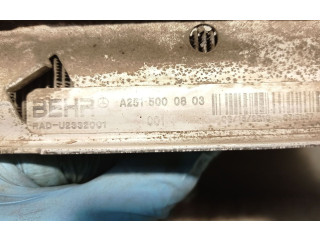 Vstřikovací lišta A2515001204, A2515000803   Mercedes-Benz GL X164    642940 