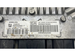 Řídící jednotka 9655534080, 9660780980   Peugeot 407 2006
