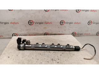 Vstřikovací lišta 7809129, 3606755   BMW X1 E84  pro naftový motor 2.0  