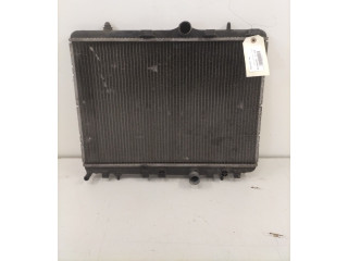 Volant Citroen C3 Picasso 2011 00001330P9  