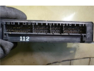 Řídící jednotka 3912138410, 9040930112A1   Hyundai Santa Fe 2003