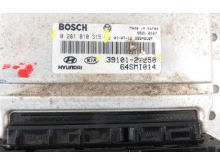 Řídící jednotka 3910127250, 0281010315   Hyundai Santa Fe 2001
