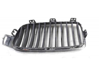 Решётка в плоскости крышки BMW M3  19297610, 107063315      