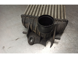 Píst 1449600Q0A   Nissan Primastar    F9QU762 