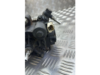 Vstřikovací čerpadlo 167003669R, 5WS40844   Renault Megane IV    K9K656 