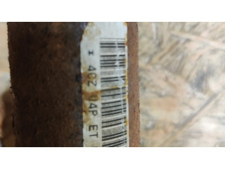 Боковая подушка безопасности 4CZV4PETCEA, 609753500B   Dodge Caliber