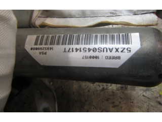 Подушка безопасности двери 1495299080, 1495299080   Fiat Ulysse